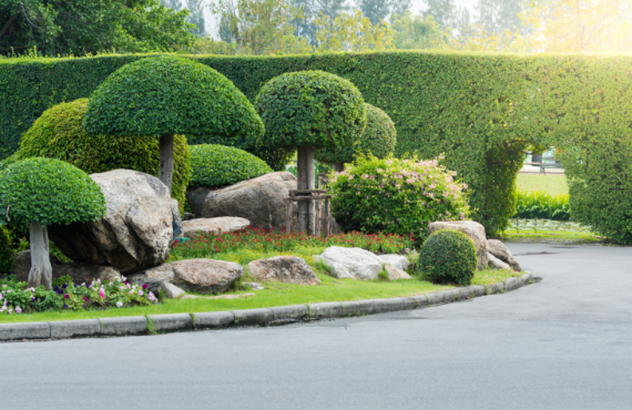 Zelena Garden